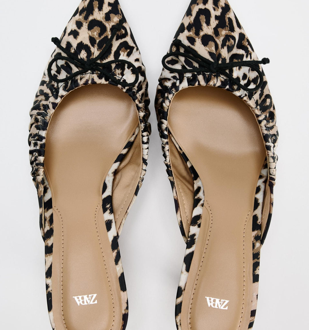 Moudda ZARA - Mule kitten léopard - Tunisie 5