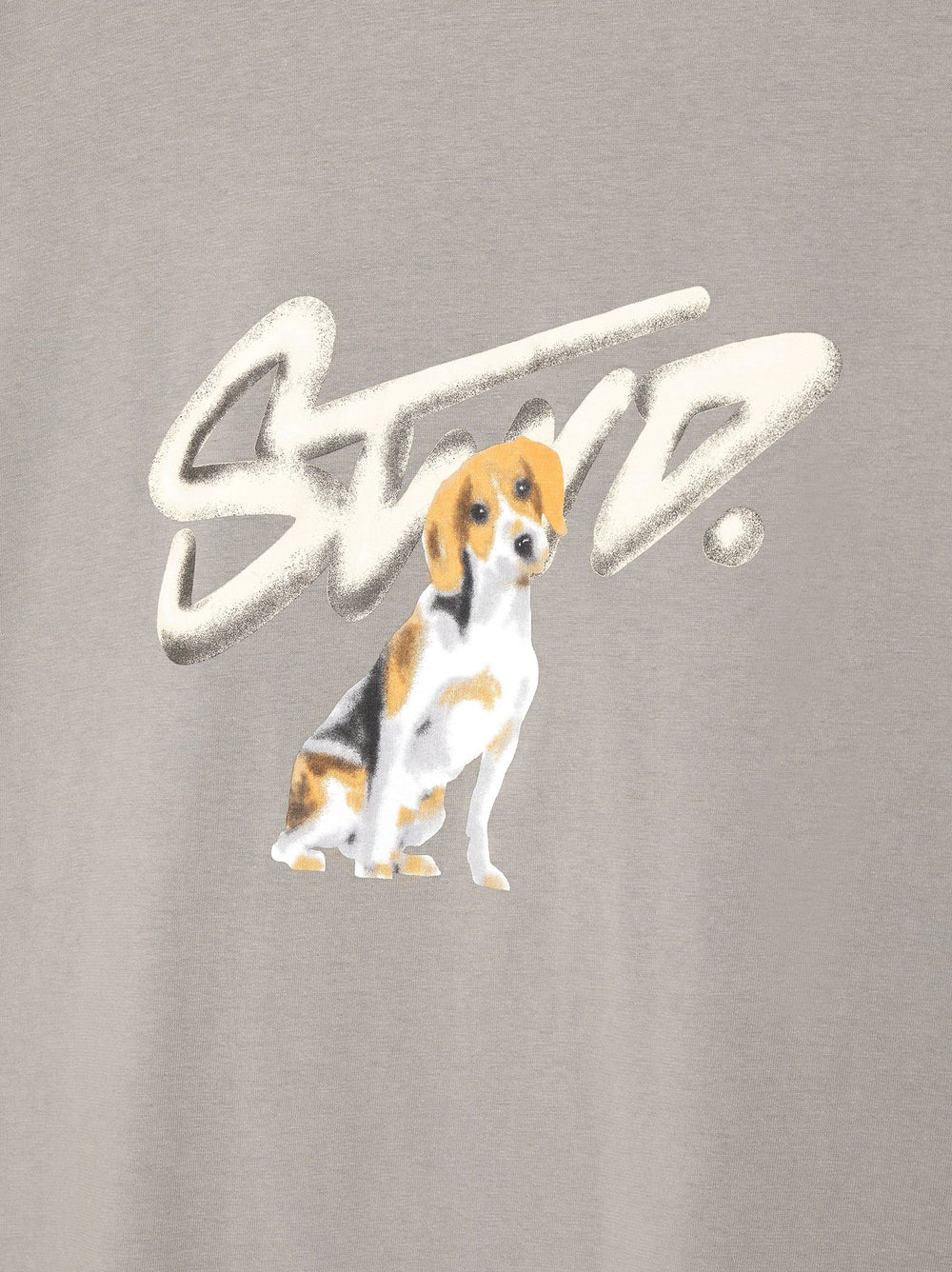 Moudda PULL & BEAR - T-Shirt Logo STWD Lavé Chien - Tunisie 2