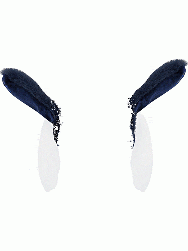 Moudda LC Waikiki - Cache-oreilles Garçon Bleu marine foncé - Tunisie 1