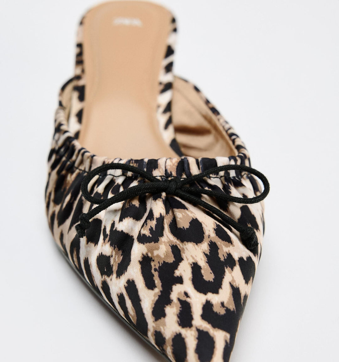 Moudda ZARA - Mule kitten léopard - Tunisie 7