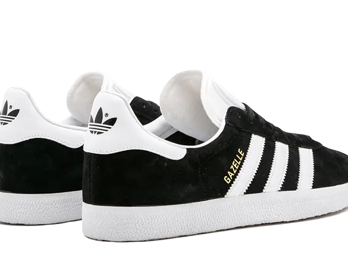 Gazelle – Moudda