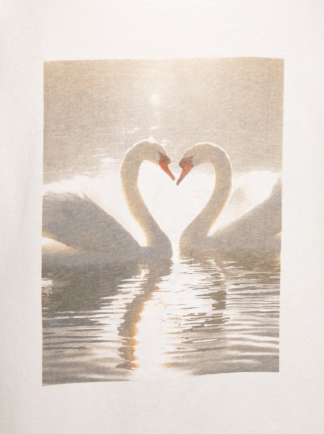 Moudda PULL & BEAR - Body Photo Cygnes - Tunisie 3