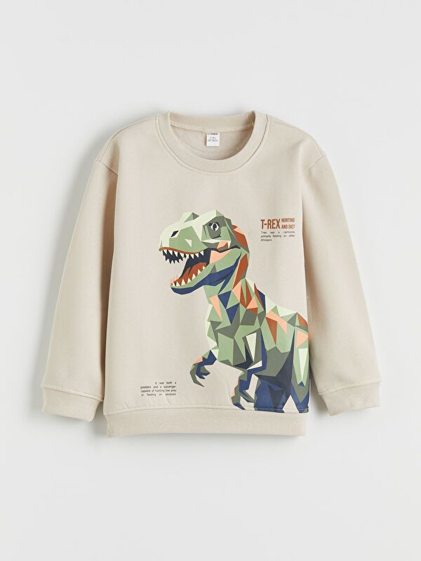 Moudda LC Waikiki - Pack de sweats à capuche en jersey pour Garçon - Tunisie 4