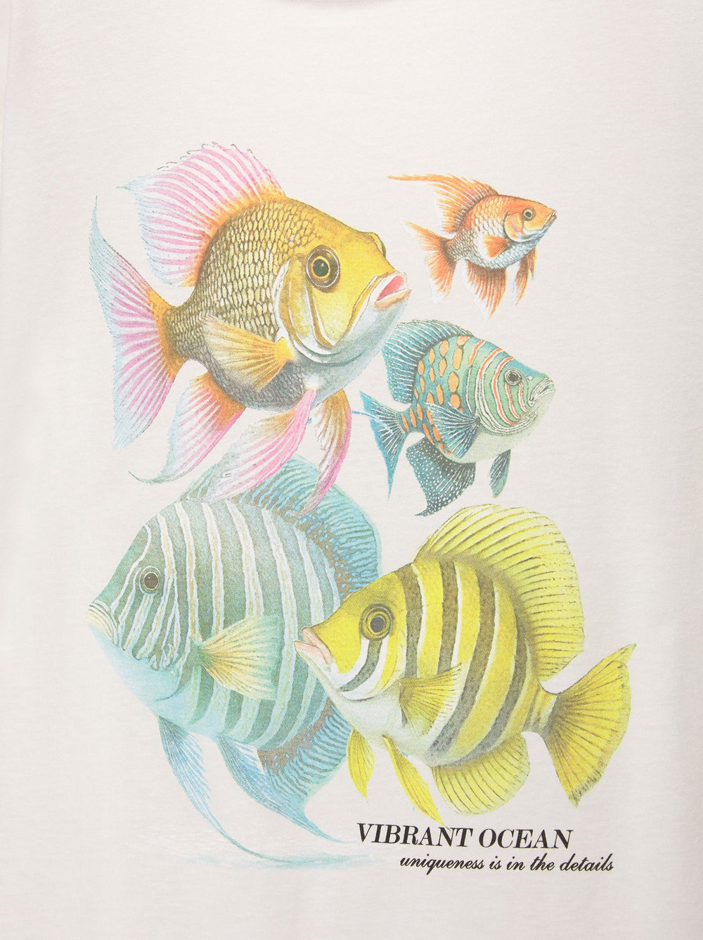 Moudda PULL & BEAR - Body Graphique Poissons - Tunisie 3