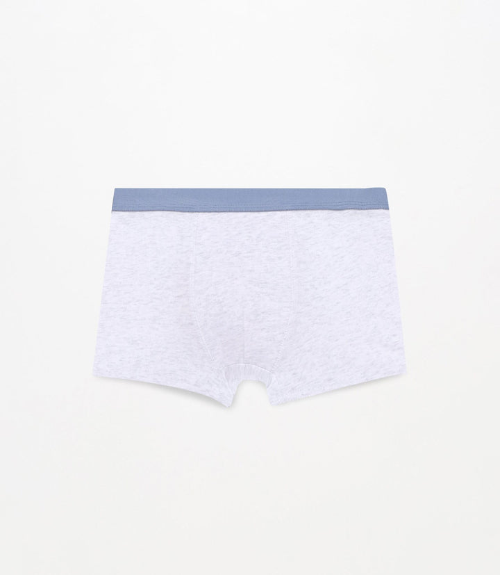 Moudda Lefties - Pack 7 Boxer - AOP Dinosaure Bleu - Tunisie 4