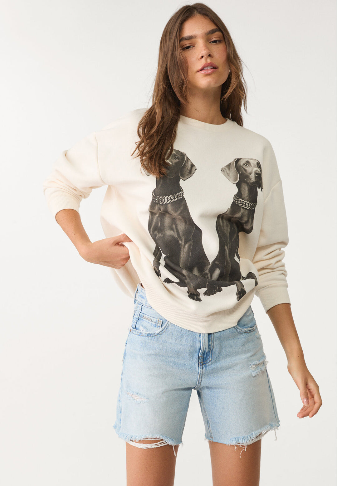 Sweat - Imprimé Chiens - Tunisie3
