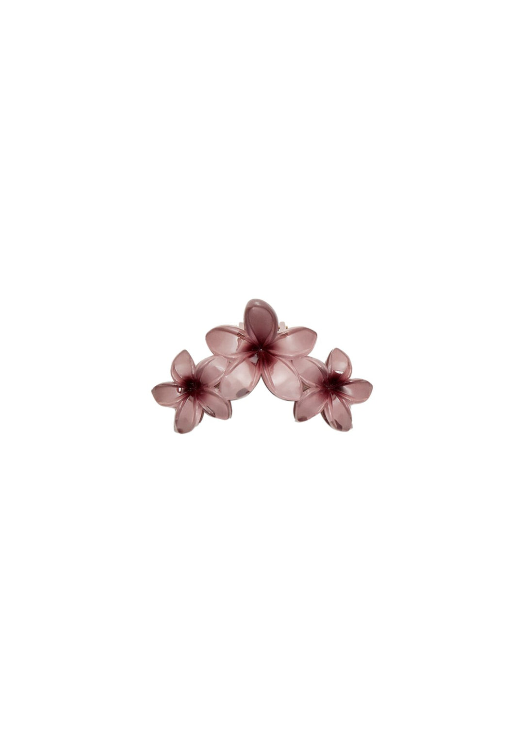 Pince - Triple Fleur - Tunisie1