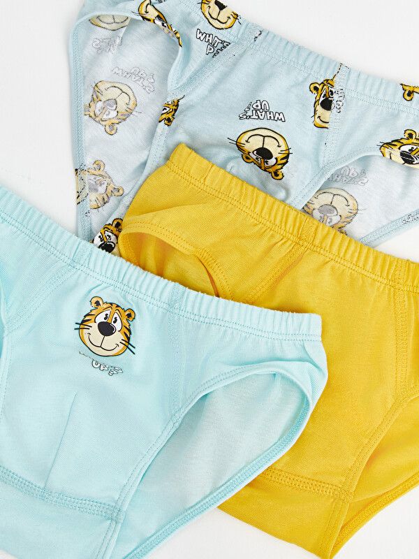 Moudda LC Waikiki - sous-vêtement (slip) en jersey pour Garçon couleur Turquoise mat - Tunisie 5