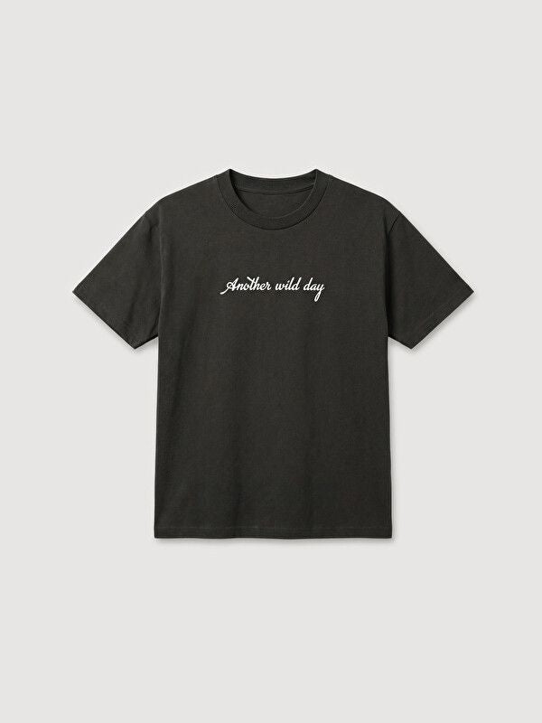 Moudda LC Waikiki - T-shirt manches courtes en jersey pour Garçon couleur Anthracite - Tunisie 1