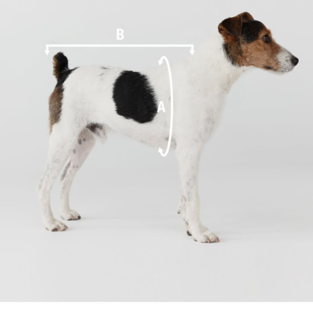 Moudda ZARA - Kda OuGarmen - Tunisie 7