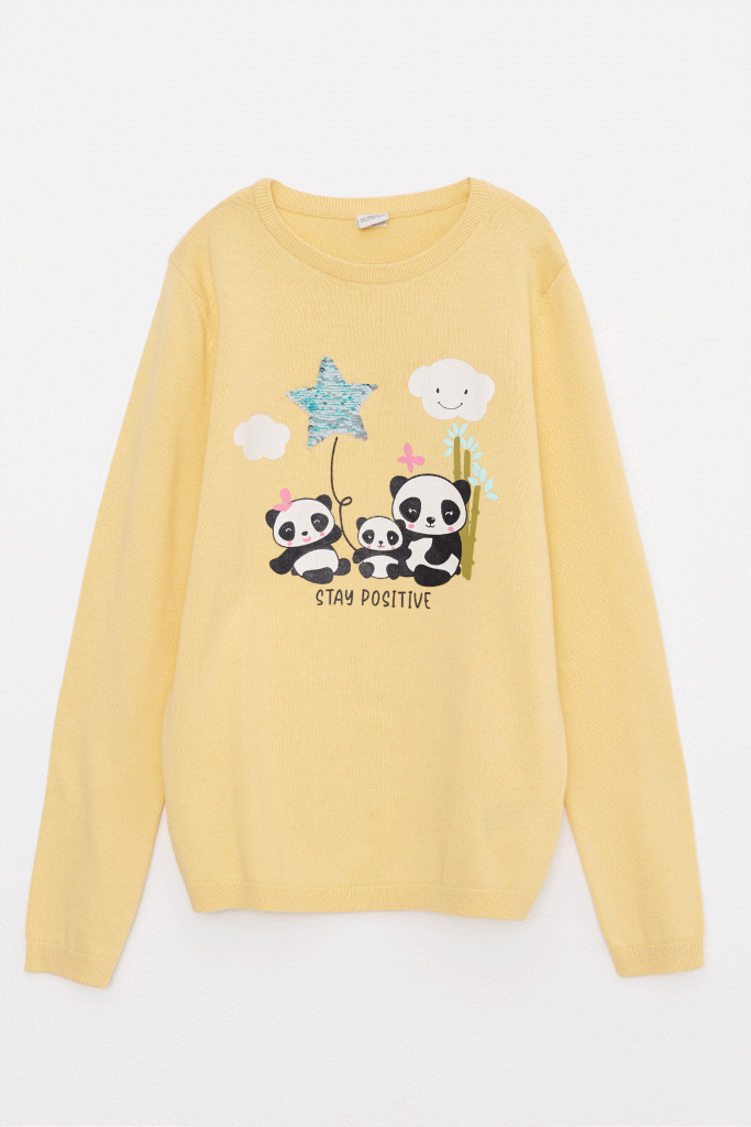 Moudda LC Waikiki - Pull-Over - 1