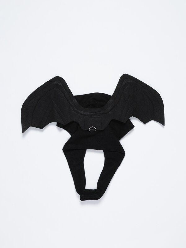 Moudda Lefties - Accessoires animal - Tunisie 4