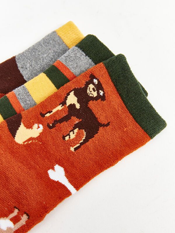 Moudda LC Waikiki - Chaussettes  Cheville pour Garçons - Tunisie 4