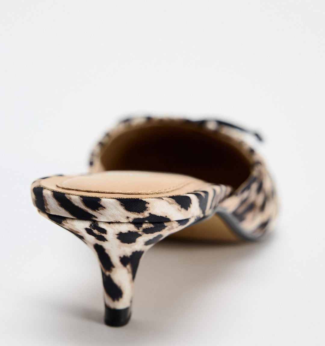 Moudda ZARA - Mule kitten léopard - Tunisie 8