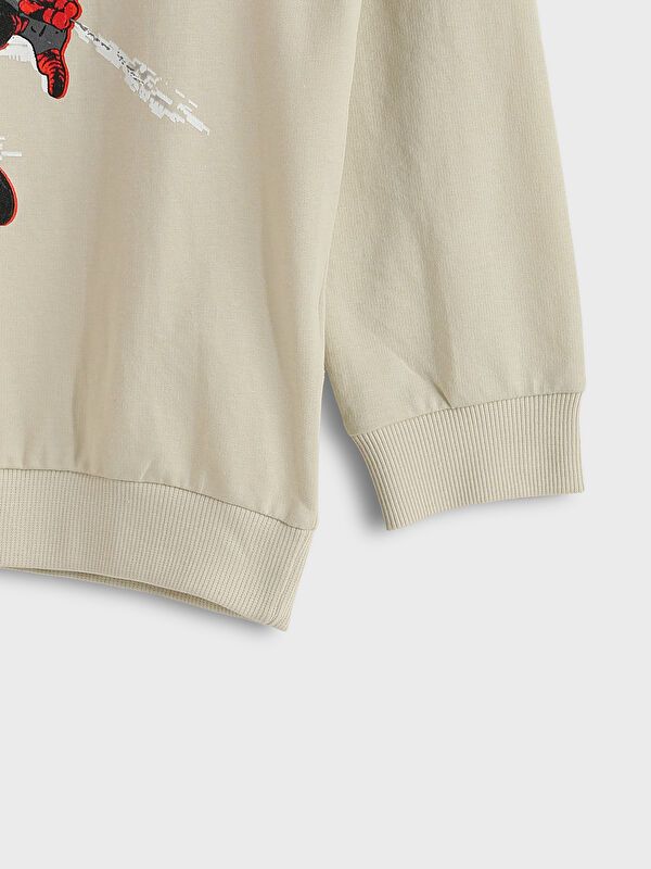 Moudda LC Waikiki - Sweatshirt en jersey sous licence Garçon Gris clair - Tunisie 3