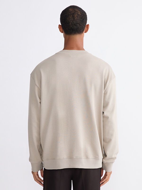 Moudda LC Waikiki - Sweatshirt en jersey couleur Beige foncé pour hommes - Tunisie 4