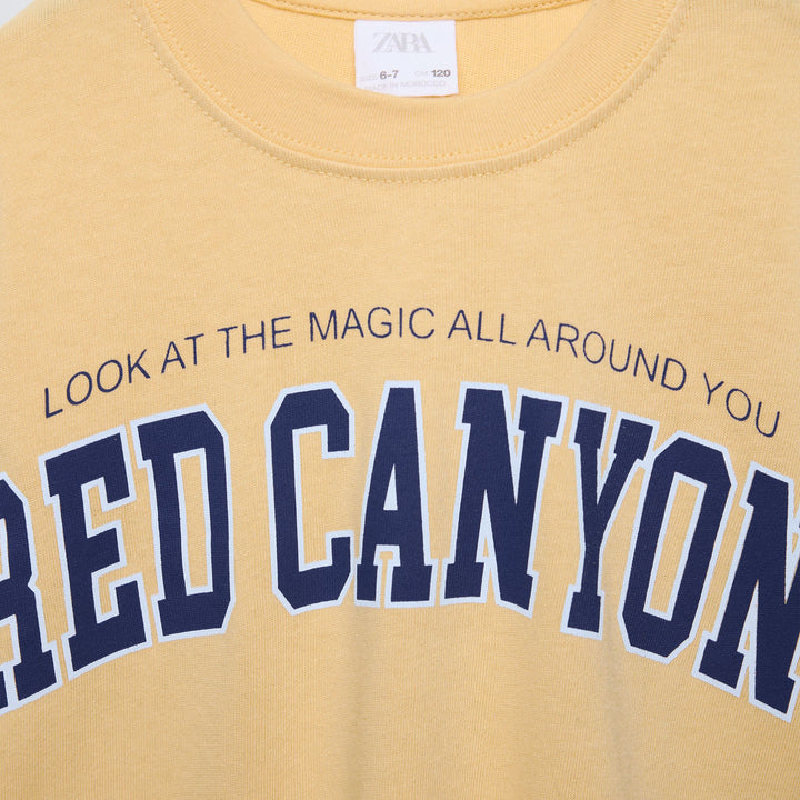 Moudda ZARA - T-shirt varsity, texte, poignets côtelés - Tunisie 3