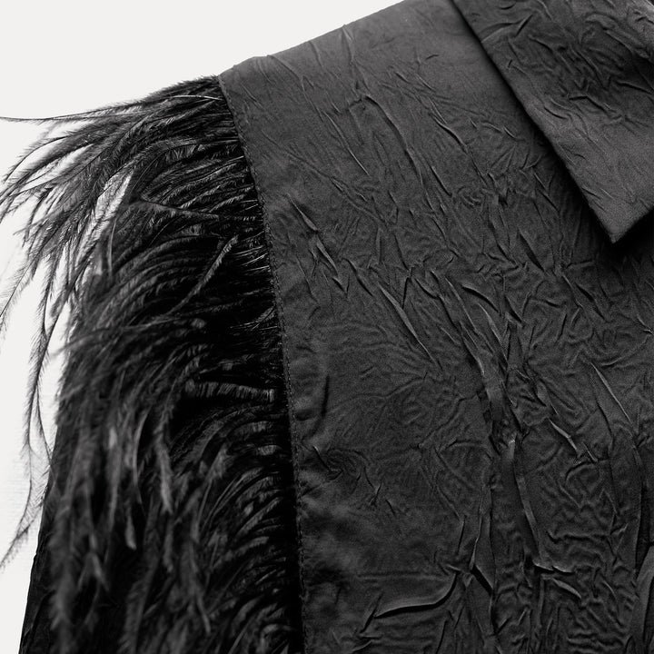 Moudda ZARA - Chemise manches longues tissu froissé fantaisie plumes - Tunisie 2